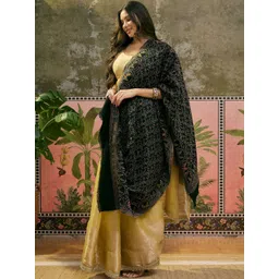 Sangria Women Ethnic Motifs Woven Design Shawl image 5