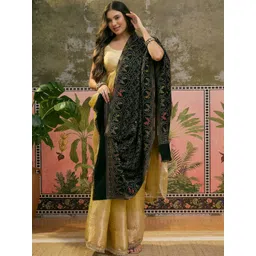 Sangria Women Ethnic Motifs Woven Design Shawl image 1