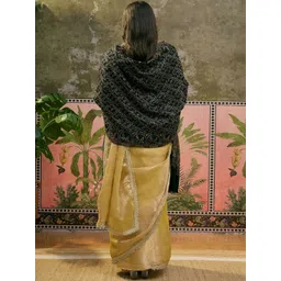 Sangria Women Ethnic Motifs Woven Design Shawl image 4