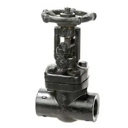 Sant 15 mm Forged Steel Globe Valve FSV 6A-image-0