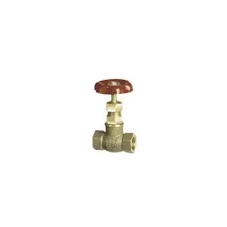 Sant 15mm Screwed Female Threads Gun Metal Globe Valves, IS 9-image-49