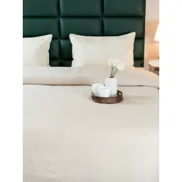 Saral Home Beige Cotton 300 TC Printed Double Bedsheet with 2 Pillow Covers-picture-23