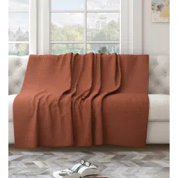 saral home Brown Solid Cotton 55x82 Inches Sofa Throw-picture-10