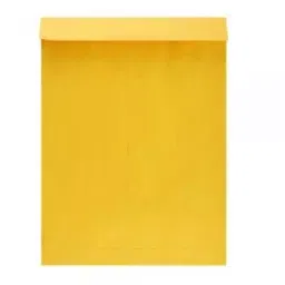 Saraswati 10x14 Inch Yellow Inside Laminated Envelop (Pack of 50)-picture-36