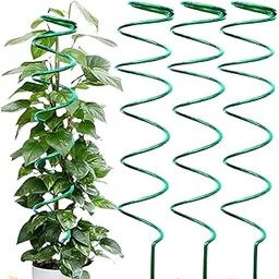 sAtimE Round Plant Support Stakes Spiral Stick – Set of 3 | Green Climbing Plant Stakes & Tomato Cages | Garden Trellis Frame for Potted Plants, Money Plant, Rose & Creepers-picture-16