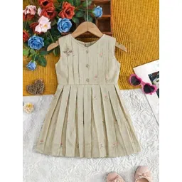 Satjal Fab Embroidered Fit & Flare Dress-picture-58