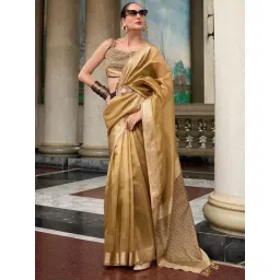 Satrani Beige Tissue Silk Woven Saree With Unstitched Blouse-picture-36