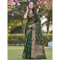 Satrani Woven Design Zari Organza Banarasi Saree-picture-23