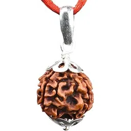 saubhagya global 4 Mukhi Rudraksha, Laboratory Certified, Carefully Capped with Silver & Handmade Tassel, Size 16mm-22mm, Color-Brown-picture-39