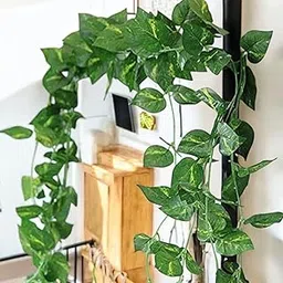 SAUDEEP INDIA Artificial Green Leaf Money Plant | 7.2 Feet Bel Vine Creeper | Realistic Hanging Fake Leaves Garland | Home Decor for Door, Wall, Balcony, Garden & Festival Decoration (3 Vines)-picture-10