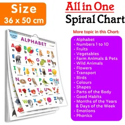 sawan Chart Book Collections For Early Learning :ALL IN ONE SPIRAL CHART ENGLISH-HINDI-picture-15
