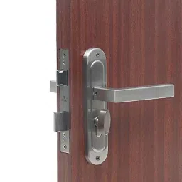 Saze ‎Stainless Steel Matt Satin Finish Round Plate Mortise Door Lock, LB201-picture-47
