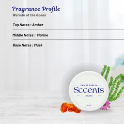 SCCENTS Solid Perfume Trio – Sandalwood, Chocolate & Silica | Long-Lasting Natural Balm Fragrance for Men & Women | Alcohol-Free & Skin-Safe | Travel-Friendly Solid Cologne Gift Set image 4