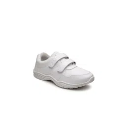 School Birds Boys Slip-On Sneakers-picture-43