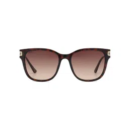 scott accessories Scott Sunglasses Womens Smoke Brown Lens Square Sunglasses - 3008 Eloise C2 S (54)-picture-12