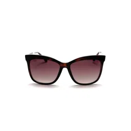 Scott SC501 Nicole Brown Gradient Cat Eye Sunglasses-picture-13