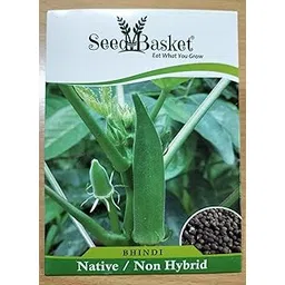Desi/Native/Non-GMO Bhindi/Okra seeds for home garden | 80 Seeds | Best in Germination | Free Growing Instruction Manual-image-40