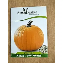 Seed Basket Desi/Native/Non-GMO Pumpkin Seeds for Home and Kitchen and Vegetable Gardening | 25 Seeds | Best in Germination | Free Growing Instruction Manual-image-28