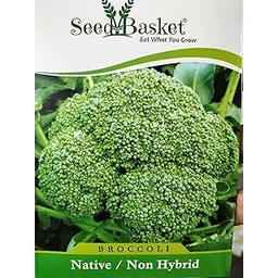 Seed Basket Exotic Broccoli Seeds for Home and Kitchen Gardening|300 Seeds|Best In Germination|Free Growing Instruction Manual-image-31