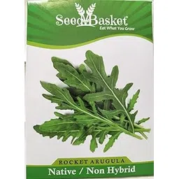 Seed Basket Exotic Rocket Arugula All Seasons Vegetable Seeds For Home Gardening- (300 Seeds- With More Than 70% Germination) And Instruction Manual-image-32
