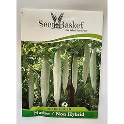 Seed basket Native/Desi Snake Gourd(Small) Vegetable Seeds For Home Gardening | 12 Seeds | Best in Germination | With Growing Instruction Manual-image-33