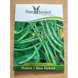 Native/Non-GMO French Beans Seeds for Home Garden (30 Seeds with More than 70% Germination) And Instruction Manual-image-36