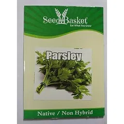 Parsley Seeds for Home and Kitchen and Vegetable Gardening | 200 Seeds | Best in Germination | Free Growing Instruction Manual-image-37