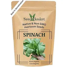 Seed Basket Native/Heirloom Palak Or Spinach Vegetable Seeds (20 Grams)-image-13