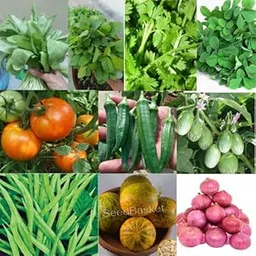 Seed Basket Winter Native Vegetable Seeds Kit (10 Pack) for Home Garden- Pack of 10 Verities-image-2