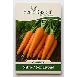 SeedBasket Native CARROT Seeds for Home and Kitchen and Vegetable Gardening | 300 Seeds | Best in Germination | Free Growing Instruction Manual-picture-16