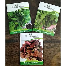 Seedbasket Native/Non-GMO Amaranthus 3 Pack Green Leaf, Red Leaf, Red Stem Seeds for Gardening outside and terrace- Each 1400 seeds-image-20