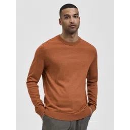SELECTED Men Orange Pullover-picture-34