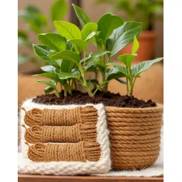 serveeco Nariyal Rope (Each 40 feet Pack of 6) Brown-picture-21