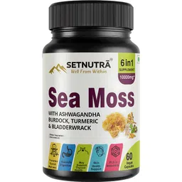 setnutra Sea Moss with Ashwagandha Burdock, Turmeric & Bladderwrack-picture-17