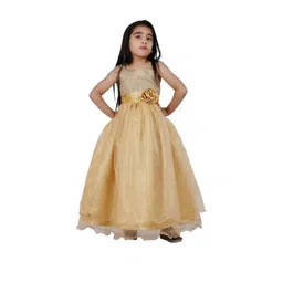 Shahina Fashion Girls Embellished Fit and Flare Dresses-picture-24