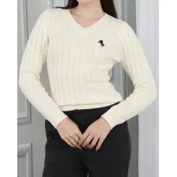 Shein Full Sleeve Logo Placement Embroidered Pullover-picture-19