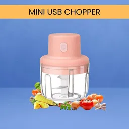shinde crafts Mini Rechargeable Chopper, Electric Chopper for Onion, Garlic and VegetableC276 Electric Vegetable & Fruit Chopper-picture-24