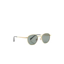 Shisen Fox ARIAS Tora Unisex Full Rim Polarised and UV Protected Round Sunglasses ASG37-picture-37