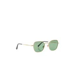 Shisen Fox Unisex Polarised and UV Protected Lens Oval Sunglasses ASG29-DARK GOLD/LIGHT-picture-10