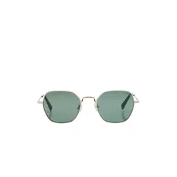 Shisen Fox Unisex Polarised and UV Protected Sunglasses ASG30-LIGHT GOLD-picture-16