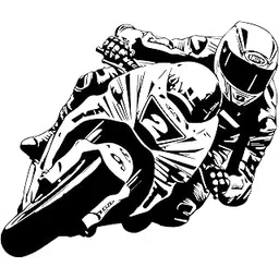 Shivoid MotoGP Sticker for Wall (Large Size) (50cm x 40cm)-picture-24