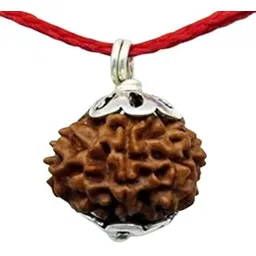 shivtantra ™ Ten mukhi Rudraksha Original Certified with Silver Capping Pendant 10 मुखी रुद्राक्ष 10 Face Rudraksha Bracelet दस मुखी रुद्राक्ष Ten Face Rudraksha Nepal Das Mukhi-picture-34