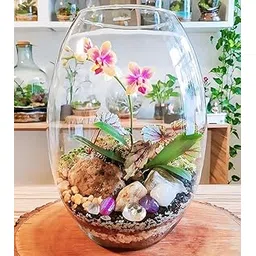 SHOBHANA ENTERPRISES Crystal Clear Oval Glass Vase (18")-picture-14