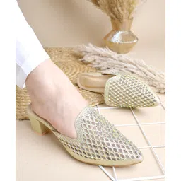 Shoetopia Stone Embellished Pointed Toe Mule Heels - Golden-picture-25