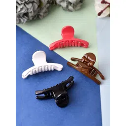 Silvermerc Designs Women Set of 4 Claw Clip-picture-18