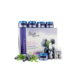 SKIN SECRETS Purifying Blueberry Facial Kit - 410g-picture-24
