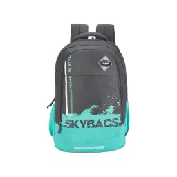 Skybags 28 Ltrs Grey Medium Backpack-picture-42