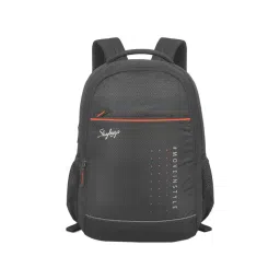 Skybags Ikon 02 Grey Polyester Solid Backpack - 22 Ltrs-picture-19
