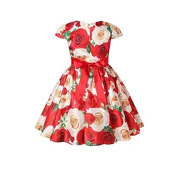 SKYTERIA Kids-Unisex Red Printed Silk A-Line Dresses-picture-31