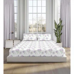 sleepsia Lavender 100% Cotton King Bedsheet 180 TC with 2 Pillow Covers-picture-10